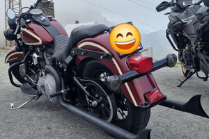 Harley davidson heritage 1450