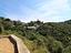 Immagine 29