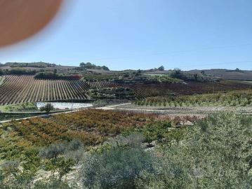Terreno - Caltagirone