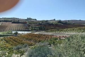 Terreno - Caltagirone