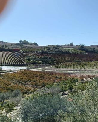 Terreno - Caltagirone