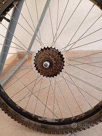 ruota bici da 24