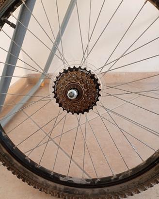 ruota bici da 24