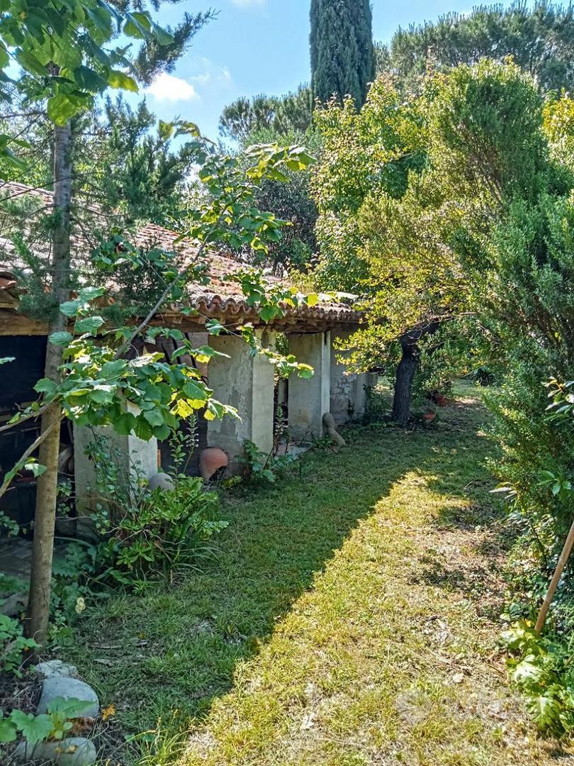 Rustico con grande giardino - Vista 5