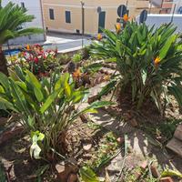 Villa o villino - Ragusa