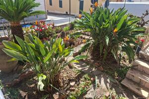 Villa o villino - Ragusa