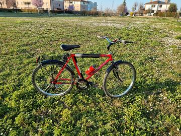 Bicicletta Bianchi MTB 26