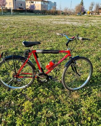 Bicicletta Bianchi MTB 26