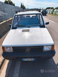 panda