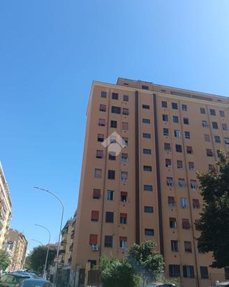 3 LOCALI A ROMA