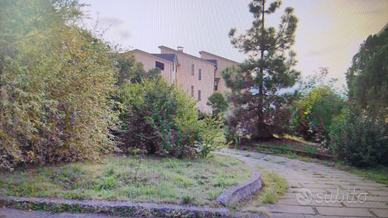 Appartamento stato rustico