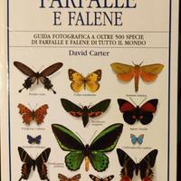 David Carter-FARFALLE E FALENE