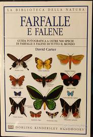 David Carter-FARFALLE E FALENE