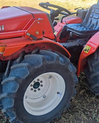 goldoni 40cv snodato 