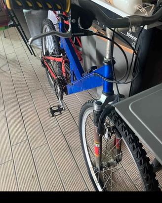 2 Bici