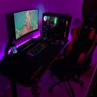 Postazione Gaming + Pc