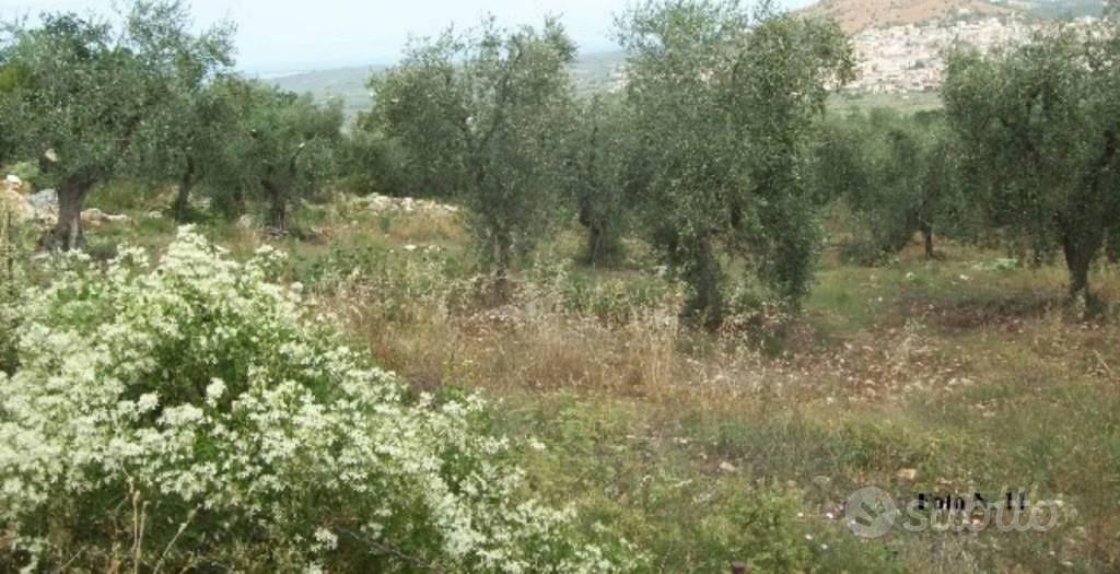 Immobile in asta di 10848 m² a Carpino - Vista 2