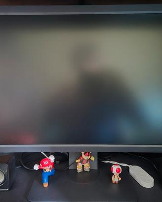 Benq Zowie Xl2411K Monitor Gaming