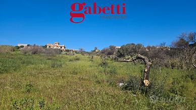 Terreno (possibilità piccolo fabbricato) Ter/57