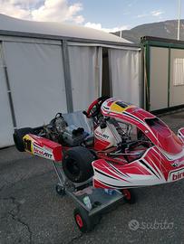 Kart Birel ART s15 kz10c completo