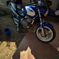 Honda hornet 600