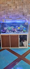 acquario