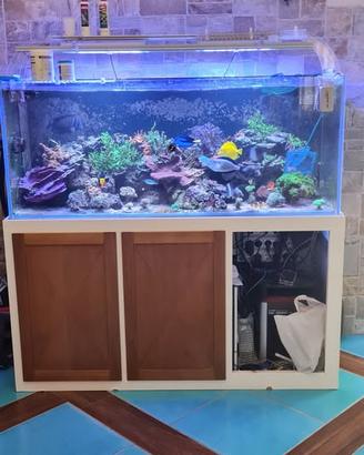 acquario