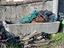Immagine 1