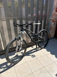 Canyon Nerve AL