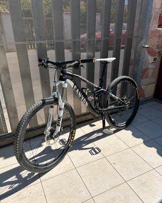 Canyon Nerve AL