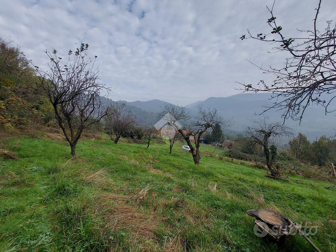 TER. AGRICOLO A CUMIANA - Vista 5