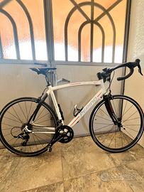 Bici da strada pepino M