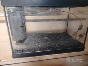 acquario con luce e motorino 