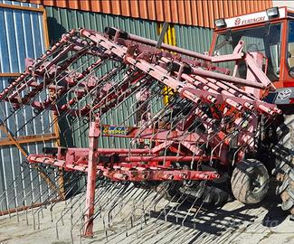 erpice strigliatore einbock