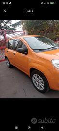 panda twinair