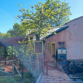 Trattoria al Castagno dei Cento Cavalli