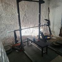 rack pesi lacertosus