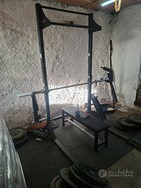 rack pesi lacertosus