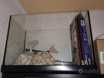 piccolo acquario 