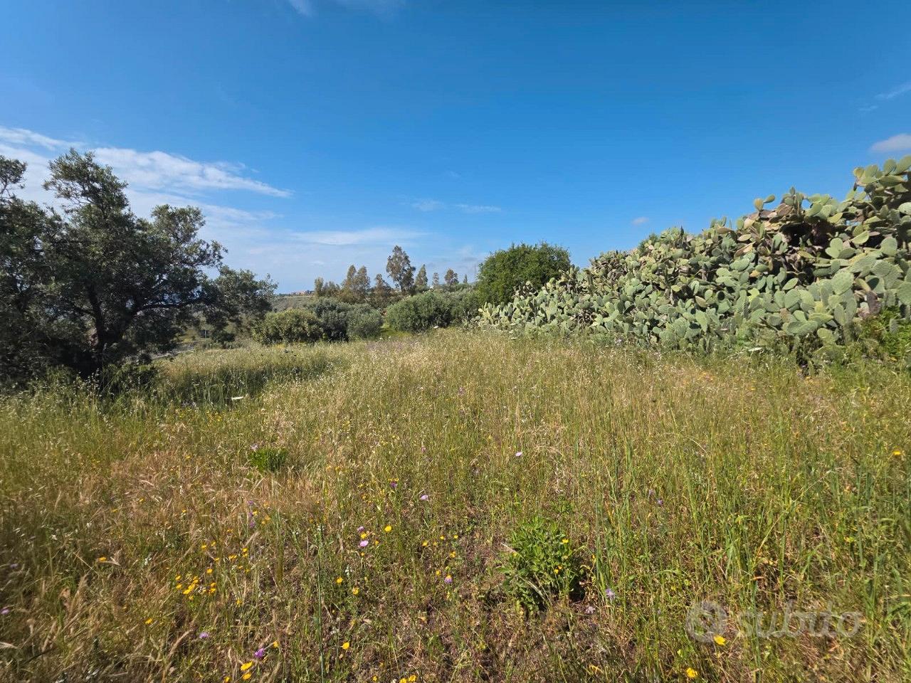 Terreno Agricolo Panoramico Gurnari 1050 Mq - Vista 4