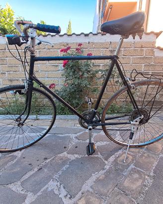 raleigh Sprite 10 speed