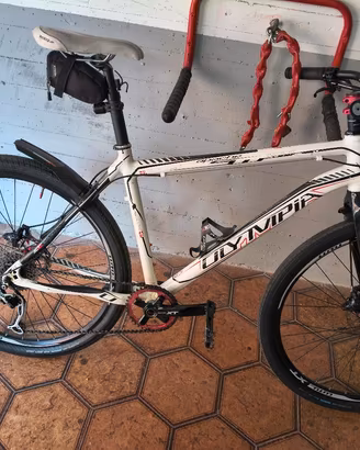 MTB Olympia Apache 