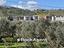 Immagine 22