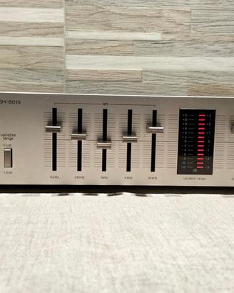 Equalizzatore Technics SH-8015