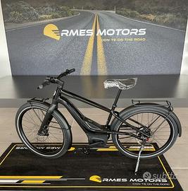 Harley-Davidson RUSH/CTY