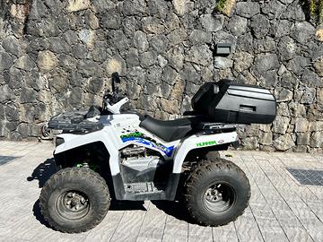 Lem Altro modello - 2022