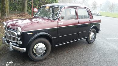 Fiat 1100 103 E TV - 1956