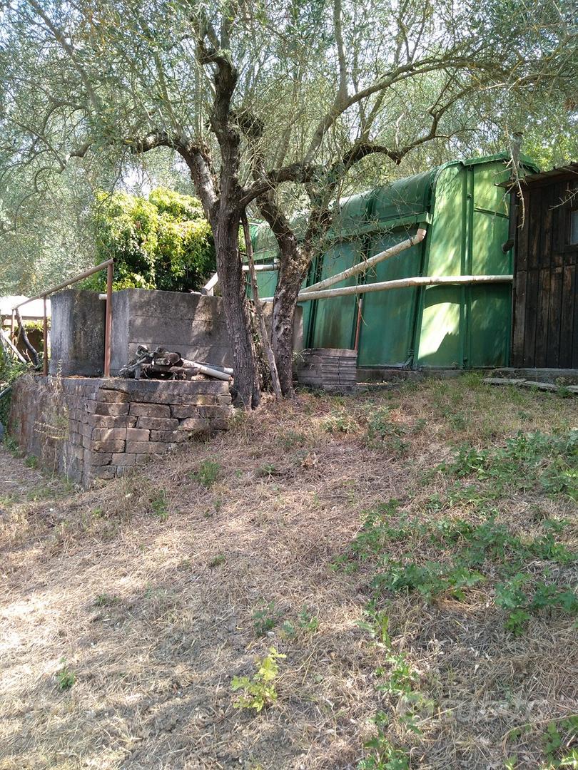 Terreno Agricolo con ulivi in a 15000 - Vista 2