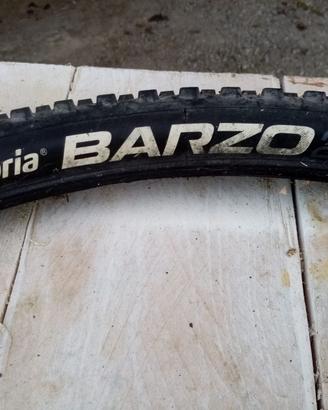 pneumatico MTB 29 vittoria