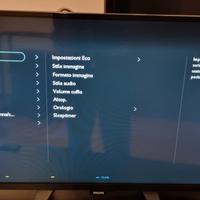 TV monitor Philips 32 pollici 